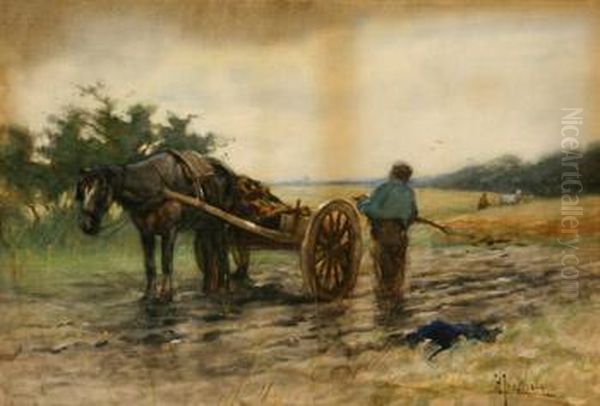 Clearing The Field - view 1