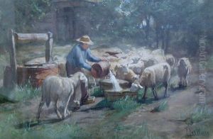 Feeding The Sheep