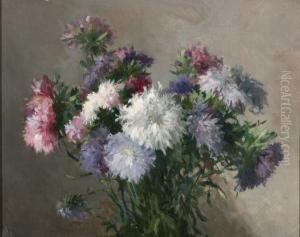 Chrysanten