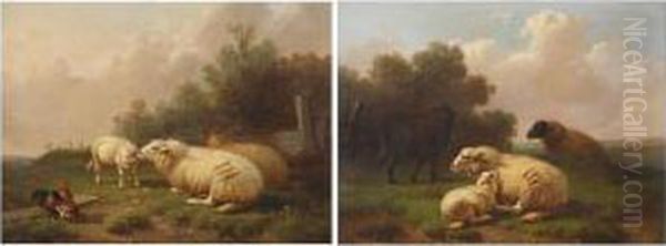 Sheep In The Meadow - view 1