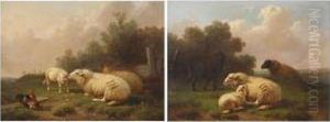 Sheep In The Meadow by Joseph Van Dieghem