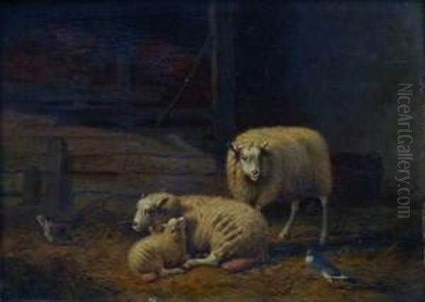 Moutons Dans La Bergerie - view 1