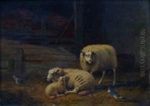 Moutons Dans La Bergerie by Joseph Van Dieghem