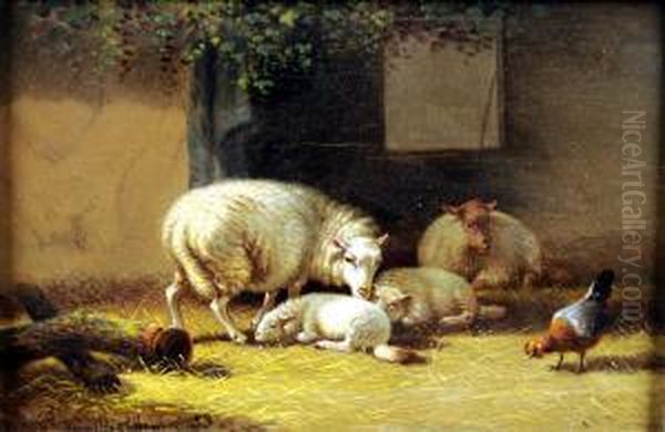 Les Moutons - view 1