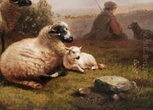 Zwei Schafe Mit Lammchen Neben by Joseph Van Dieghem