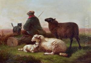 Schafhirte Mit Seinem Hund Und Seinen Schafen Schafhirte Mit Seinem Hund Und Seinen Schafen