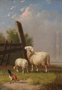 Ewes And A Lamb; Sheep And A Chicken
