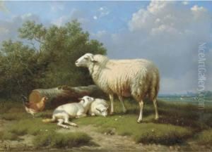 Sheep With Her Lambs