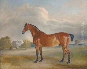A bay hunter in the park of a country house by Claude L. Ferneley