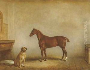 Bess and Polly in a stable Bess and Polly in a stable