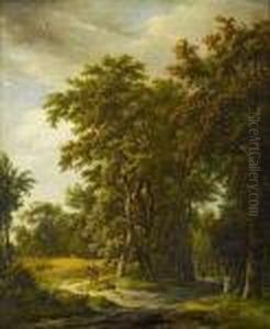Waldweg Mit Kornfeld