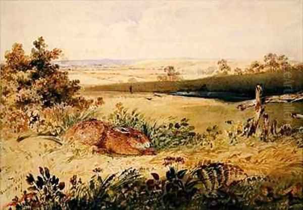 Hare in a Landscape - view 1