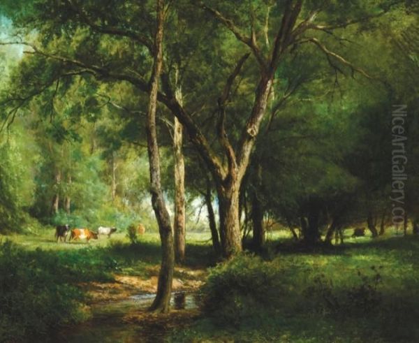 Sunlit Clearing - view 1