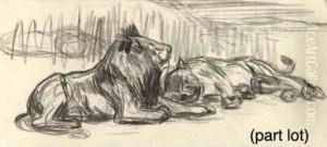 A Collection Of 26 Drawings Depicting Studies Of Wild And Tameanimals by Jan van Hemessen