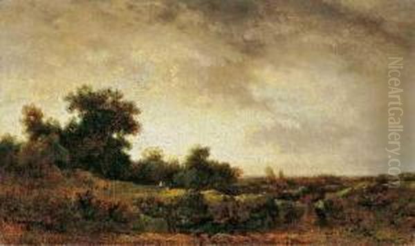 Waldlandschaft - view 1