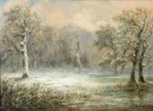 Landscape Landscape