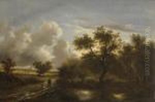 Baumlandschaft Im
Abendlicht. - view 1