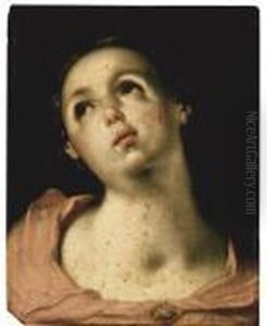 Head Of A Woman by Cornelis Cornelisz Van Haarlem