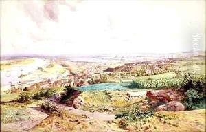 Vienna from the North by Ludwig Hans Fischer