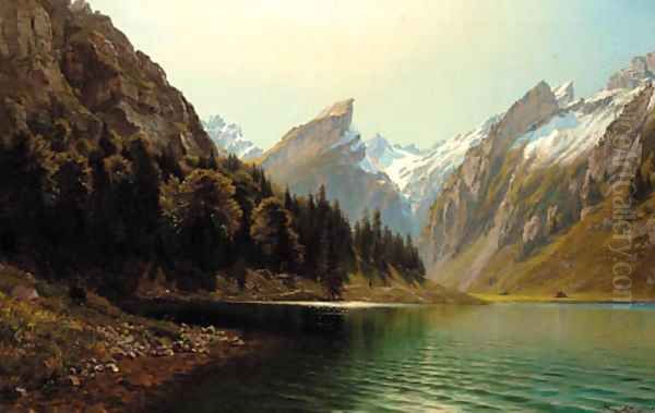 An Alpine lake landscape - view 1