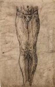 Study Of A Male Torso And Legs.<</b> by Maerten van Heemskerck