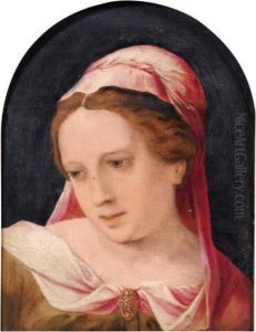 Jeune Femme Portant Un Voile Rose