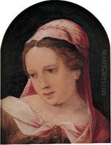 Portrait De Femme Au Voile Rose