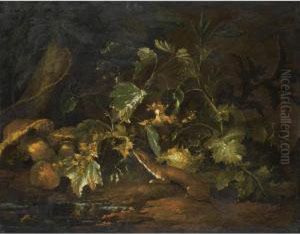 A Forest Floor With A Stoat Underneath Some Foliage, Beside A Pool Of Water by Niccolino Van Houbraken