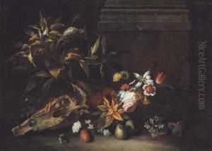 Natura Morta Con Fiori, Frutta E Cranio Di Cavallo by Niccolino Van Houbraken