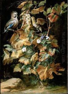 Still Life With A Jay And A Starling Eating Berries