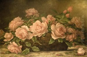 Corbeille De Roses