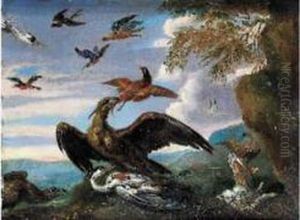 Oiseaux Dans Un Paysage