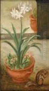 A Lily In A Pot With Asquirrel A Lily In A Pot With Asquirrel