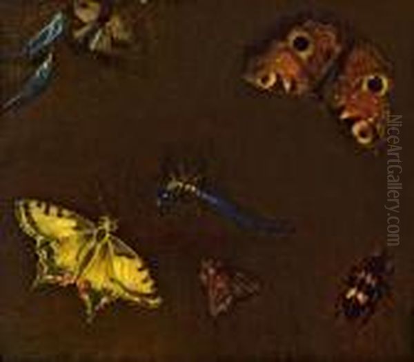 Schmetterlinge Und Insekten - view 1
