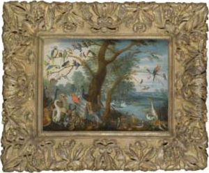 A Concert Of Birds