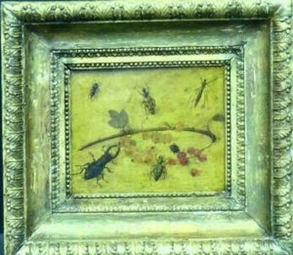 Insects And Berries - view 1