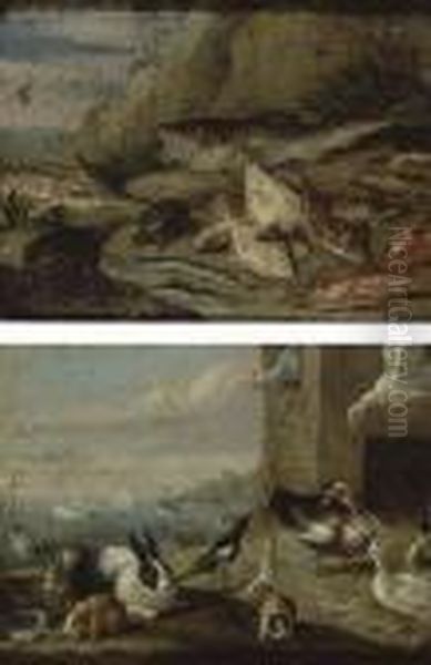 Scenes Avec Des Animaux Et Des Poissons - view 1
