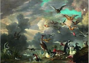 Oiseaux Et Autres Volatiles Pres De La Riviere