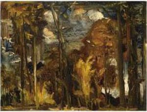 A View Of A Landscape In Limburg