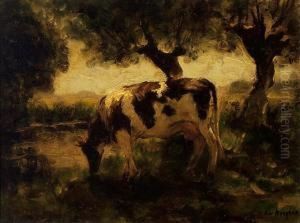 Cow By A Ditch