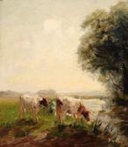 Cows Along A Ditch