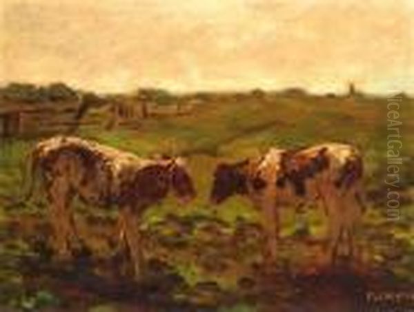 Two Heifers - view 1