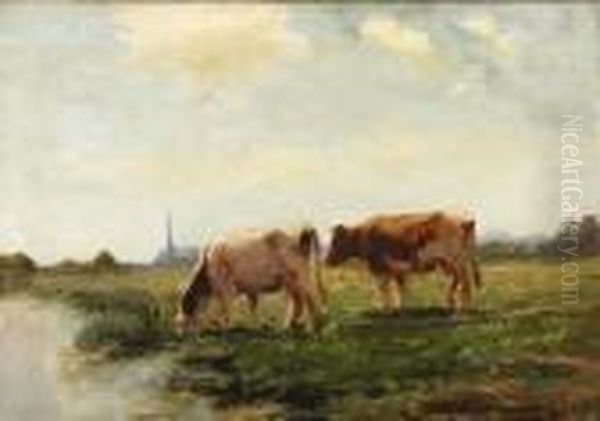 Cows - view 1