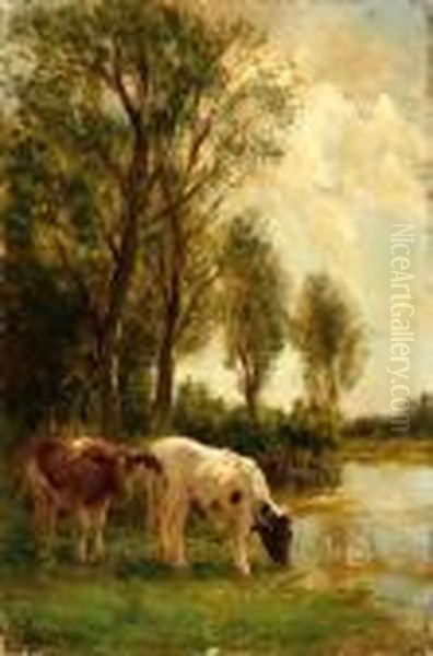 Two Cows By The Water - view 1