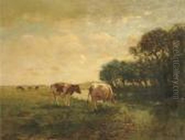 Cows By A Stream In A Polder Landscape - view 1