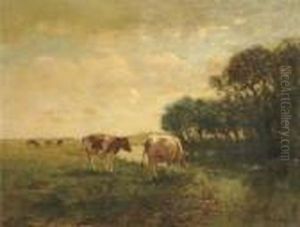 Cows By A Stream In A Polder Landscape