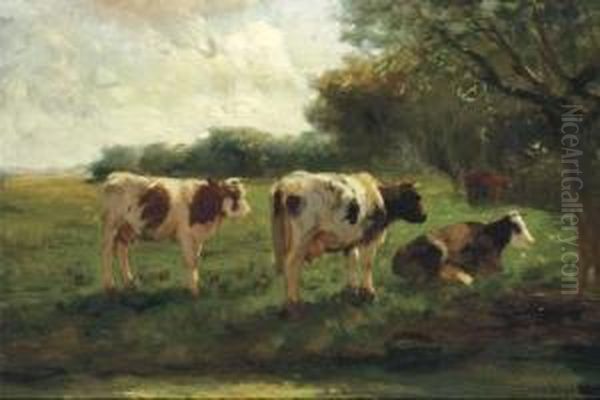 Cows In A Sunlit Polder Landscape - view 1