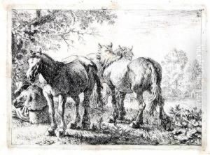 Drei Pferde by Pieter Van Laer (BAMBOCCIO)