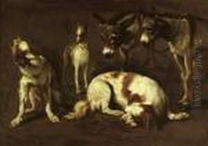 A Study Of Two Spaniels, A Greyhound And Two Donkeys by Pieter Van Laer (BAMBOCCIO)