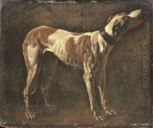 A Greyhound